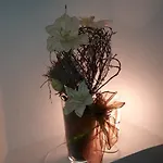Apartamento Pod Kotnovem *